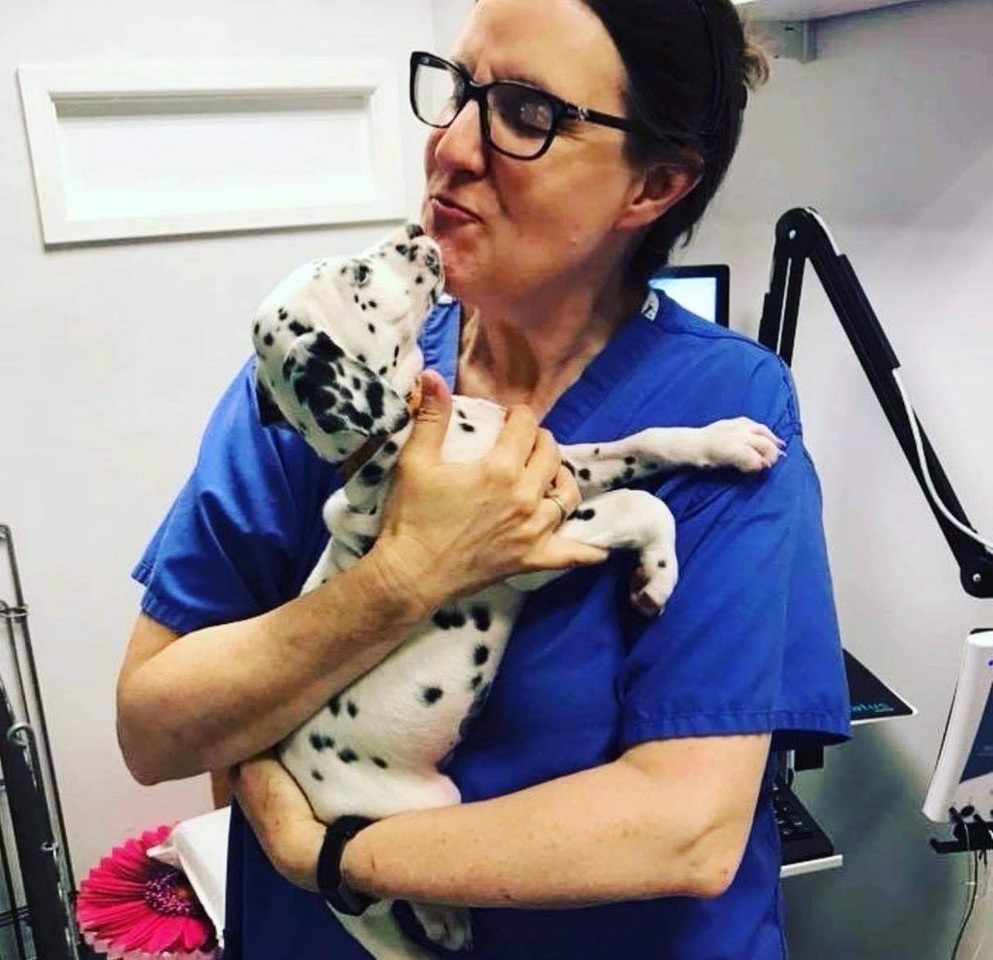Click image for larger version

Name:	Julia Freeman with a young Dalmatian patient. Please credit Oliloudalmatians.jpeg
Views:	87
Size:	164.3 KB
ID:	53112